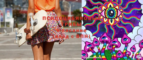 гашик Аркадак