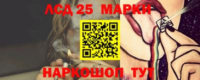 стафф Дубна