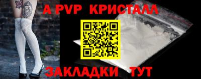 стафф Дубна