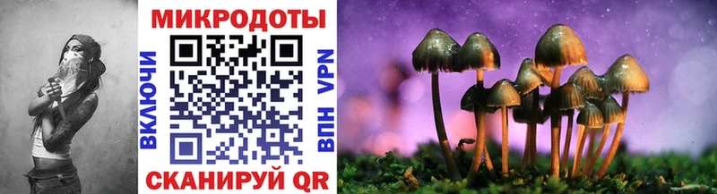 как найти закладки  darknet как зайти  Галлюциногенные грибы мицелий  Кызыл 