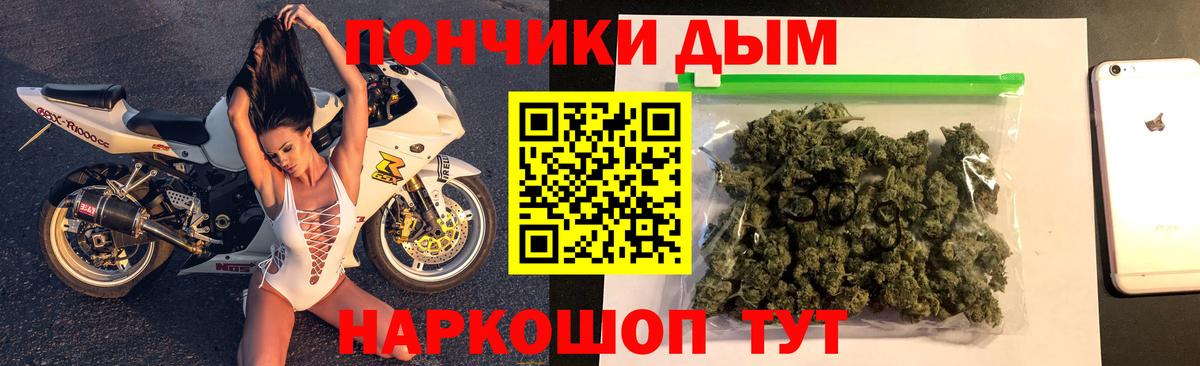 Бошки Шишки конопля Кызыл